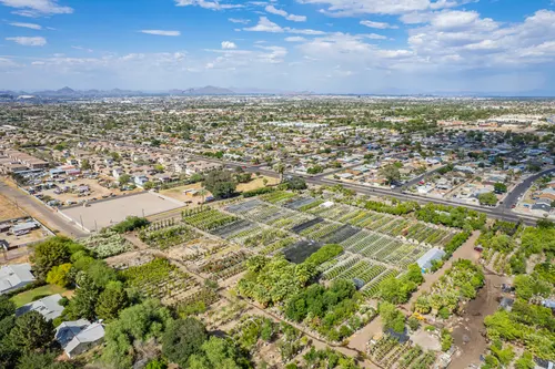 Heard Farm in Phoenix, Arizona